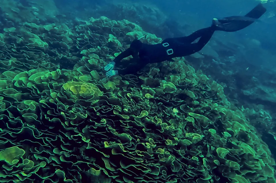 Mengapa Freediver Mulai Melirik Belitung sebagai Destinasi Favorit?