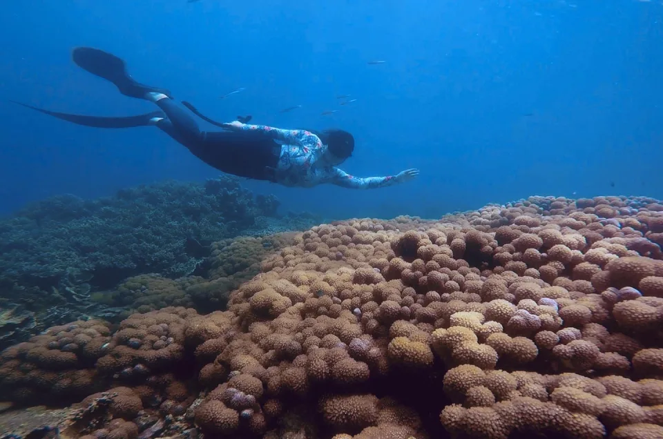 Freediving Belitung: Panduan Lengkap Spot, Harga, dan Cara Booking